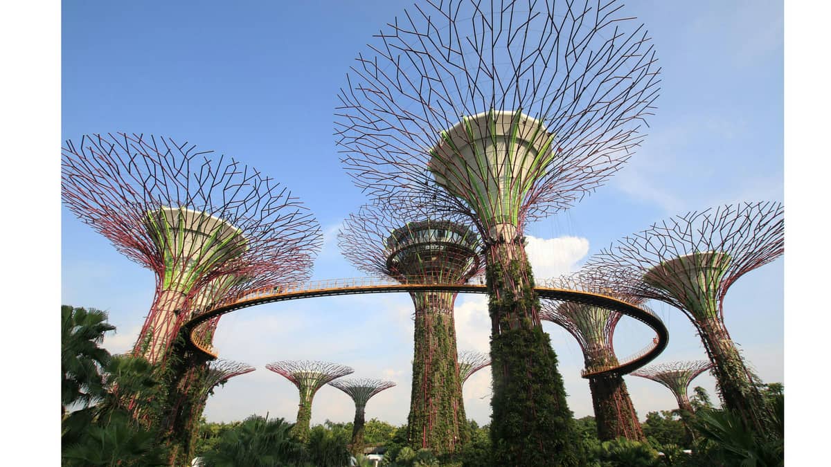 Gardens by the Bay – A Green Paradise